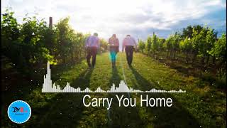 Carry You Home (Tribute Version)  By Martin Hall feat. Hanna Stone, Dag Lundberg[ Acoustic Group,]