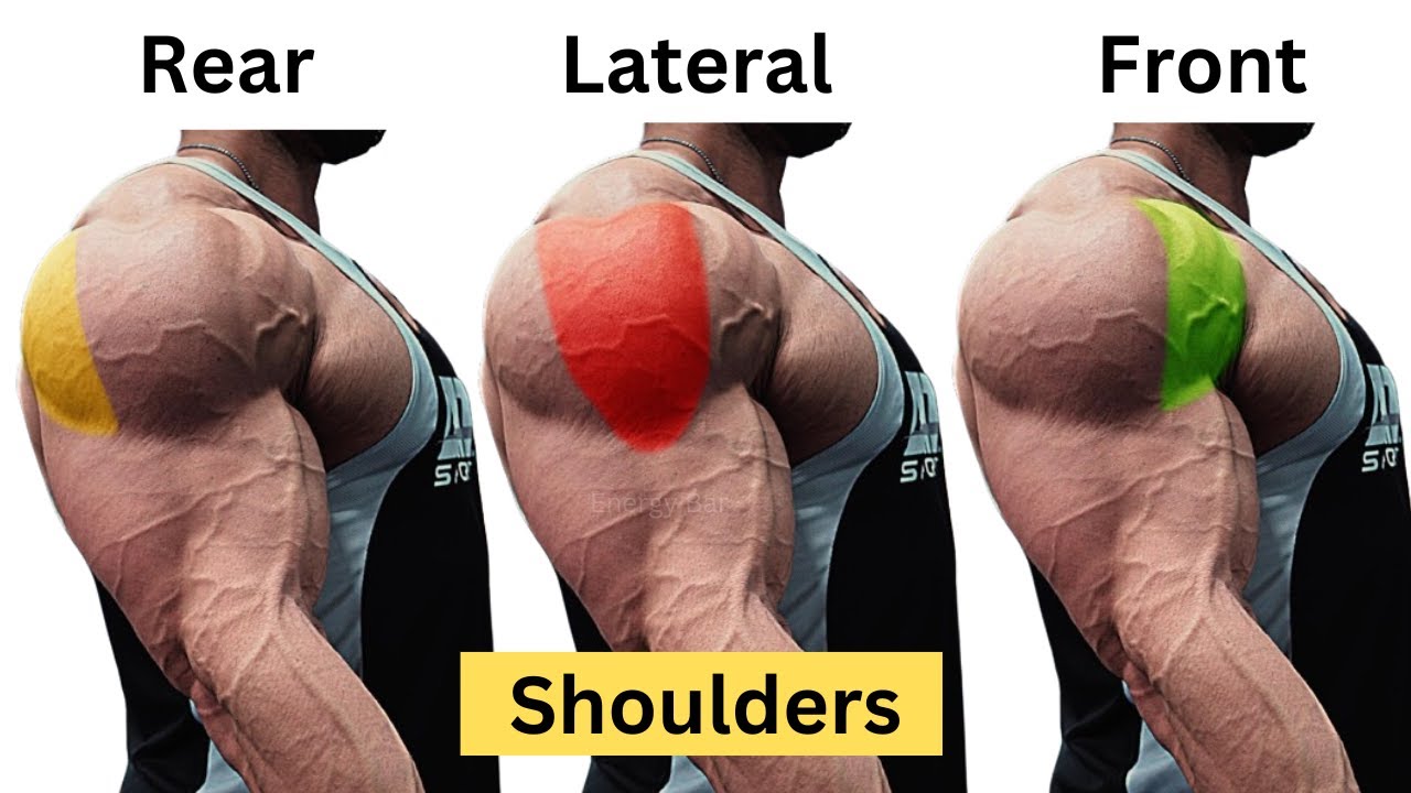 Shoulder Muscle Development 7 Unbelievable Exercises for Shoulders Growth | 3D Shoulders - YouTube