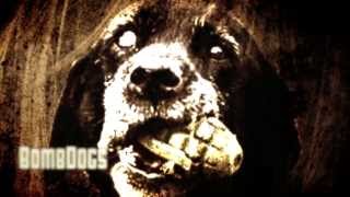 Bombdogs Music Video - The Original Acoustic Party Band! Often imitated, never duplicated!