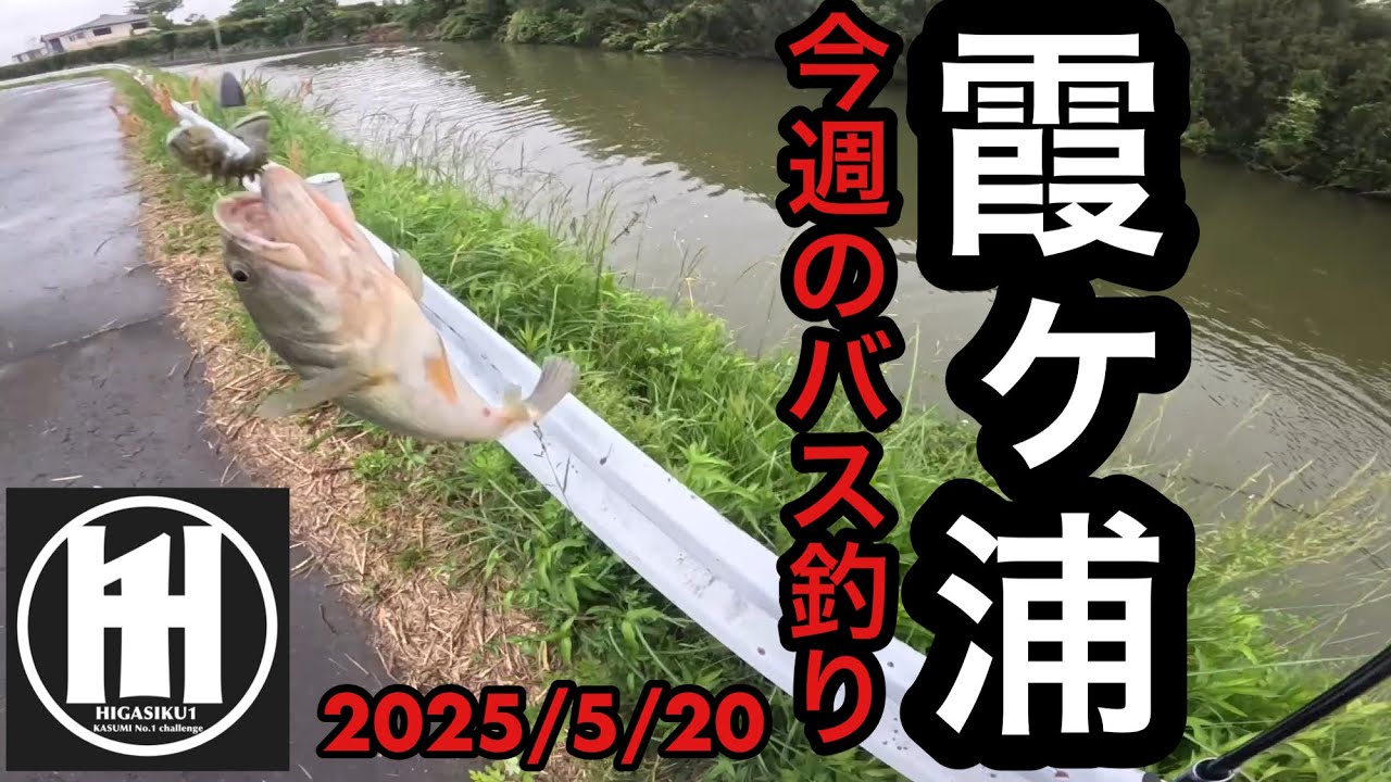 バス釣り今週の霞ヶ浦！ヒガシクワンがワームで釣った⁈2025年5月20日