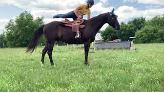 July, Mounted - Hoof Check