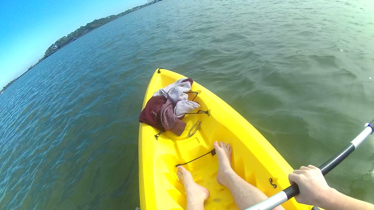 Kayaking at Tybee Island (Tybee Creek) YouTube