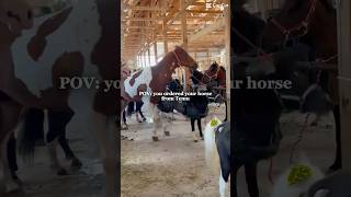 READ PIN📌📌📌 #horse #fypシ゚viral #equestrian #pony #temmuz  vid credits @G@Graceandgio