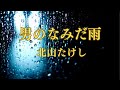 男のなみだ雨 北山たけし