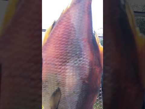 вяленый лещ сухой