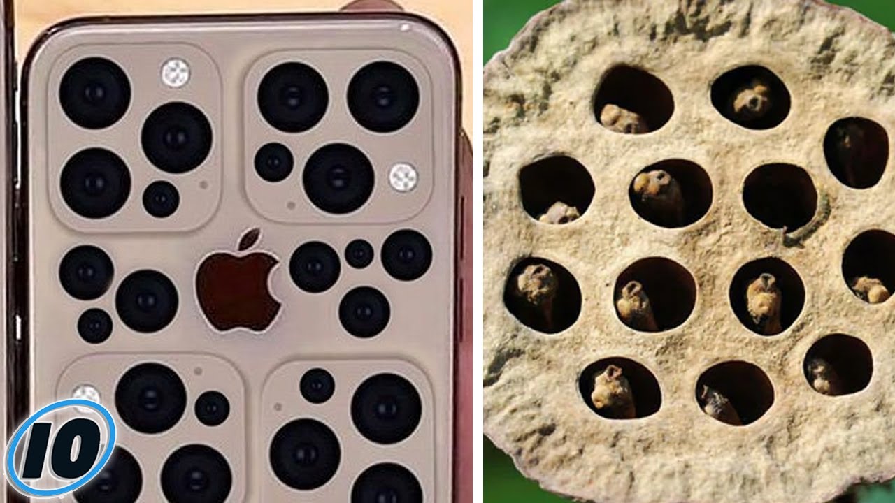 Боязнь фотографироваться. Боязнь фотографироваться фобия. Боязнь фотографироваться. Кластерная трипофобия. Квест спуск клаустрофобия.