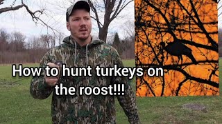 How to hunt turkeys on the roost! Dos and don'ts!