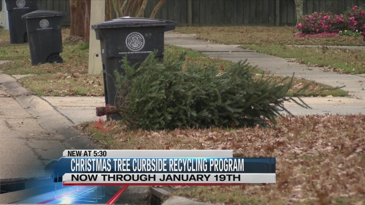 EBR Christmas Tree Pickup