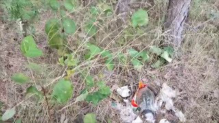 от орков на России много мусора