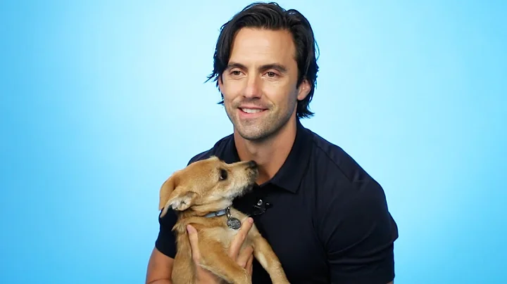 Milo Ventimiglia Plays With Puppies While Answerin...