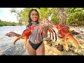 Massive monster crab ultimate catch clean and cook