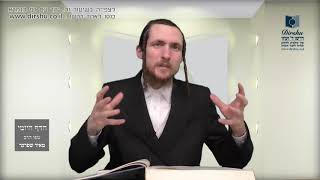 הדף היומי מסכת בכורות דף ו