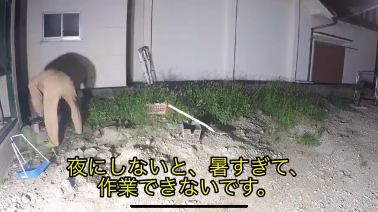 ガレージ、倉庫の前の草抜き　ＤＩＹ　＃１