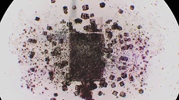 My First Decahexatris in Tetris Effect