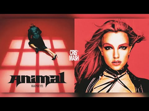ANIMAL x TOXIC - KATSEYE & BRITNEY SPEARS (MASHUP)