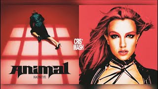 ANIMAL x TOXIC - KATSEYE & BRITNEY SPEARS (MASHUP)