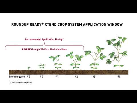 Roundup Ready® Xtend Crop System East Overview | The Soybean System You Can’t Resist