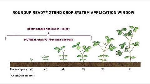 Roundup Ready® Xtend Crop System East Overview | The Soybean System You Can’t Resist