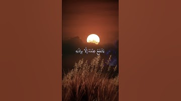 آية الكرسي"القارئ إسلام صبحي