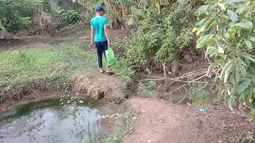 Cắm câu Ếch nhe mọi người 🐸