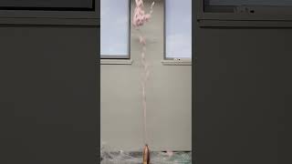 Elephant's Toothpaste in 2 Liter Bottle