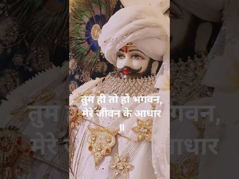🫶तेरे होते हुए सरकार,नहीं हो सकती मेरी हार,🙏#khatushyam #shyam #mhadev #trending#viral #bajrangbali