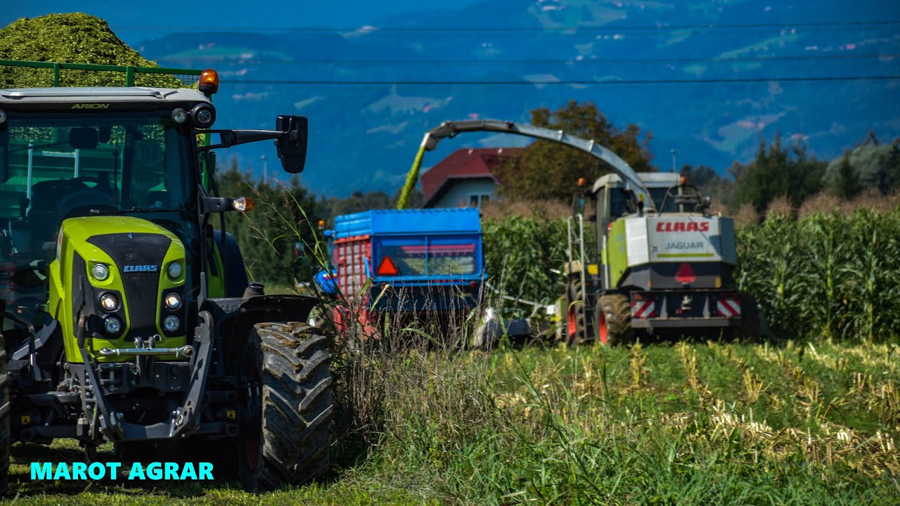 ⭐SILIRANJE KORUZE || SILAGE VON MAIS || HOČNIKAR 🌾2022 ✔
