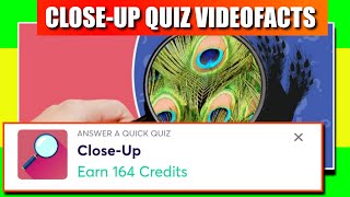 Close Up Quiz Answers Score 100% | Close Up quiz answers | Videofacts screenshot 5