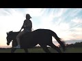 ANGEL - SIA | EQUESTRIAN SPORT