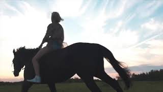 ANGEL - SIA | EQUESTRIAN SPORT