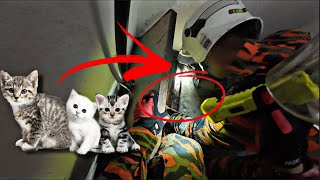 Anak Kucing Jatuh Dalam Lubang-Ijat Celoreng