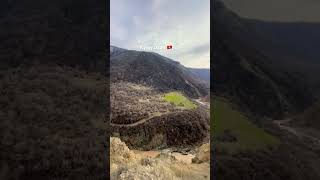 Топосъемка 📡 #геодезия #геодезист #gps #gnss #rtk #survey #surveyor #landsurvey #mapping