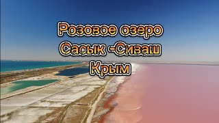 Розовое озеро, Сасык-Сиваш, Крым