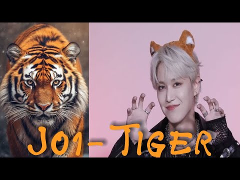 Jo1- Tiger English lyrics