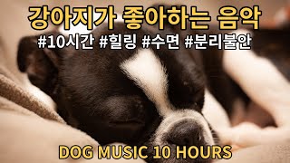 강아지가 좋아하는 음악 10시간 중간 광고없는 노래 힐링, 수면, 분리불안 10 hours of music your dog likes
