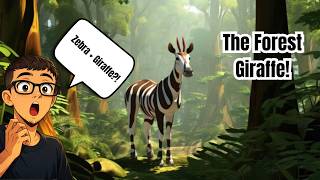 Everything You Need To Know About The Okapi!!!