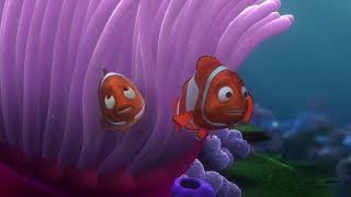 Finding Nemo - Coral And Marlin Barracuda Attack