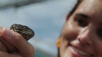 Study the Environment at Flinders
