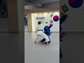 연결기술 = 승리공식 Combo = Win Key #유도기술 #업어치기 #유도영상 #주짓수 #띠잡아돌리기 #Judovideo #seoinage #Obitorigaeshi #bjj