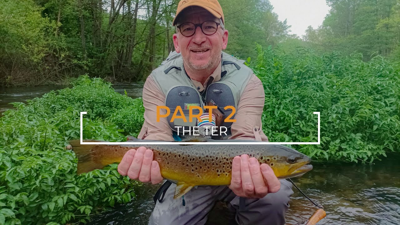 The Ter River in Catalonia (Spain)