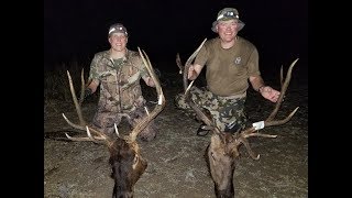 September Daily Double - Archery Elk Hunt - 2 Bulls In 2 Hours - Otc Diy