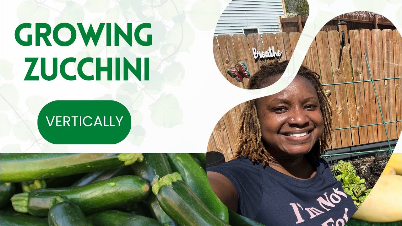 Save Space: Grow Zucchini Vertically