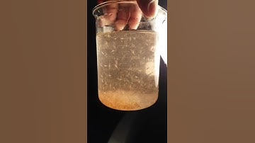 Sản xuất Giống Tôm Càng Xanh - post 7 - ĐH An Giang - DH17TD