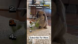 Ranking the BEST BUNNY videos #funny #easter #shorts #youtubeshorts #funny #youtube #fyp