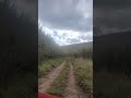 Bora Fazer Buraco Vamos que Vamos