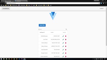 Setting up Vuex: PhoneBook