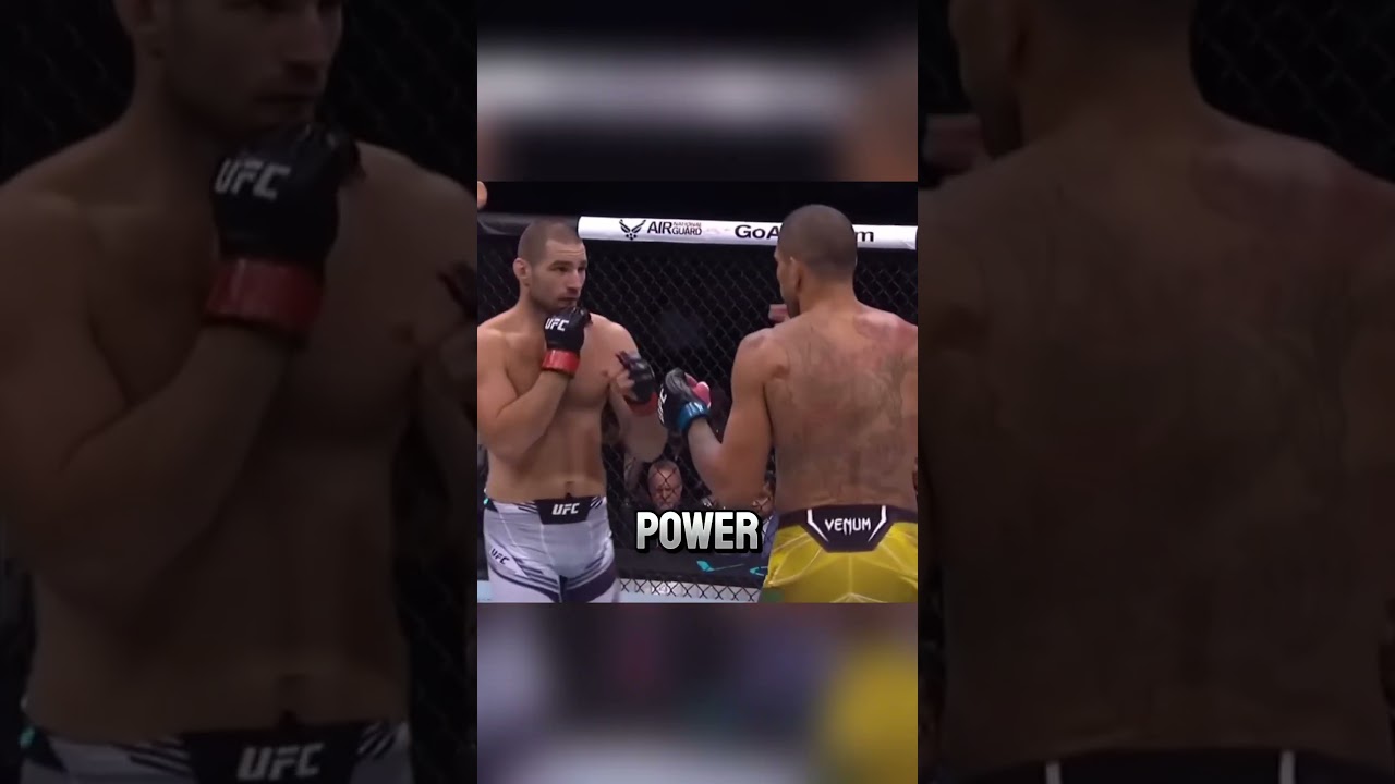 Alex Pereira Is Different #ufc #mma #knockout #fighting #alexpereira