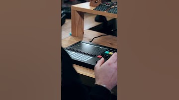 Soulful Lofi Hip Hop Beat on the Polyend Tracker