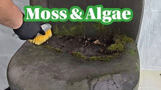 Satisfying ASMR Car Seat Cleaning Covered In Moss & Algae (Part 1)