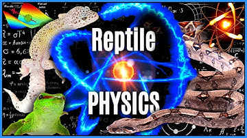 Reptile Heating & Lighting EXPLAINED - Reptile Physics | Reptile Heating & Lighting #1